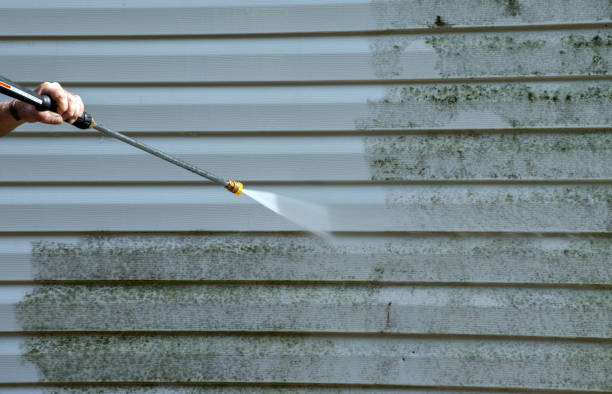Mold Removal and Inspection in North Baltimore, OH